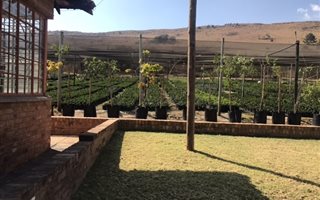 485 m² Commercial space in Donkerhoek