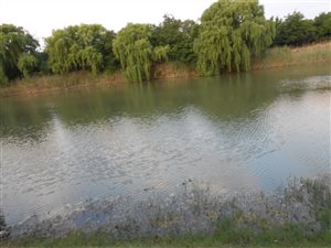 4.3 ha Smallholding in Kroonstad