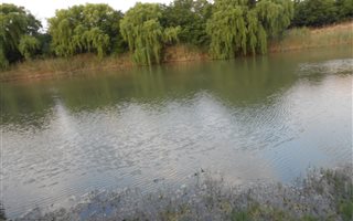 4.3 ha Smallholding in Kroonstad