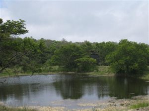 Game Farm in Stutterheim