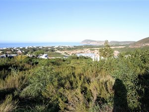 1582 m² Land available in Whale Rock Heights