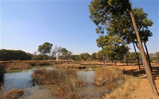 500 ha Farm in Faerie Glen