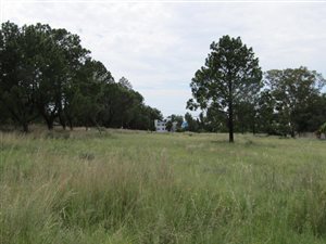 1115 m² Land available in Deneysville