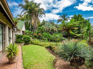4 Bed House in Melrose North