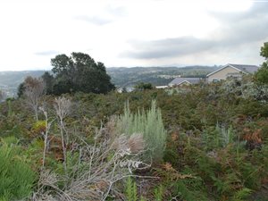 1052 m² Land available in Pezula Golf Estate