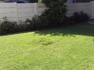 3 Bed Duplex in Fairmount
