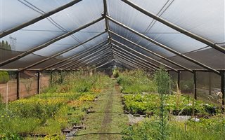 3.4 ha Farm in Tarlton