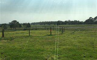 52 ha Farm in Chelsea