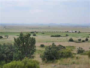 357 ha Farm in Bloemfontein