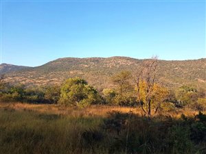 57 ha Farm in Mokopane