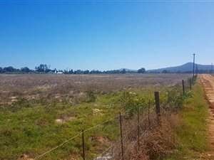 13 ha Land available in Klein Dassenberg