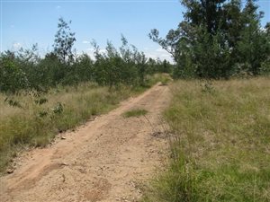6 ha Land available in Rayton