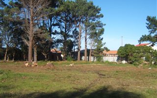 1477 m² Land available in Kleinmond