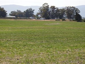 715 ha Farm in Piketberg