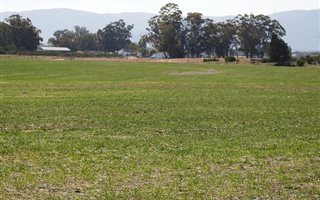715 ha Farm in Piketberg