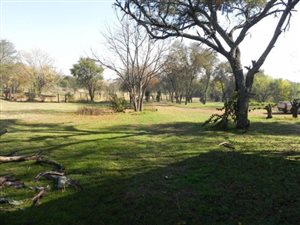 15 ha Farm in Laezonia
