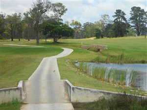 624 m² Land available in Wedgewood Golf and Country Estate
