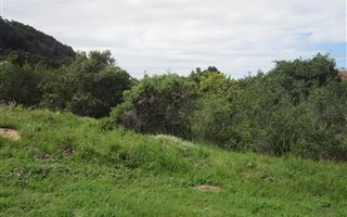 631 m² Land available in Groenvallei