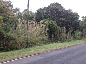1062 m² Land available in Leisure Bay