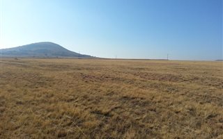 8 ha Farm in Three Rivers