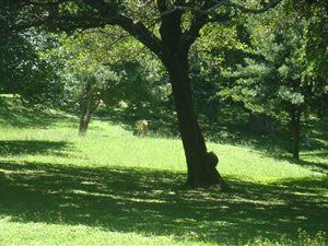 1759 m² Land available in Glenmore