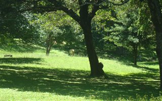 1759 m² Land available in Glenmore