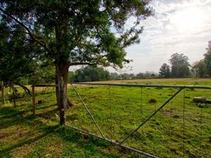 2.4 ha Farm in The Crags