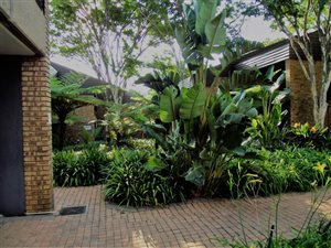 88 m² Office Space in Faerie Glen