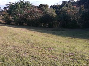 656 m² Land available in Mtwalume