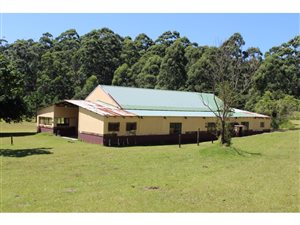 9.5 ha Land available in Uvongo
