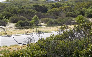 527 m² Land available in Dwarskersbos