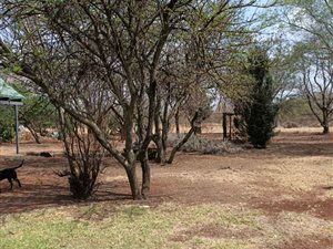4 Bed House in Kameeldrift