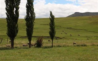 1.9 ha Farm in Barkly East