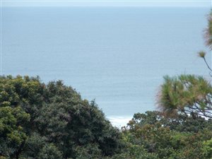 3092 m² Land available in Port Edward