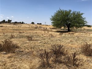 8565 m² Land available in Danielskuil