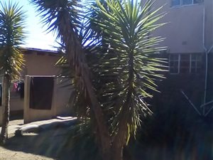 3 Bed House in Turffontein