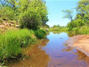 386 ha Farm in Lephalale (Ellisras)