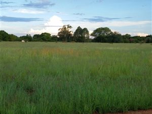 1 ha Land available in Kameeldrift East