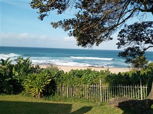 2500 m² Commercial space in Shelly Beach