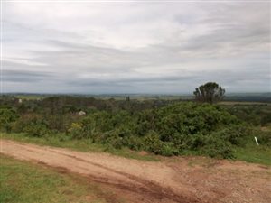 2425 m² Land available in Bathurst and Surrounds