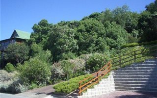 730 m² Land available in Keurboomstrand