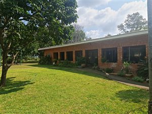 21 ha Farm in Tzaneen