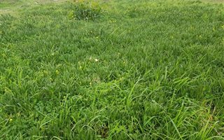 494 m² Land available in Highbury