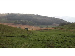 9.8 ha Smallholding in Eikenhof