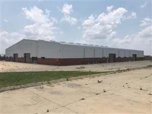 3768 m² Industrial space in Louwlardia