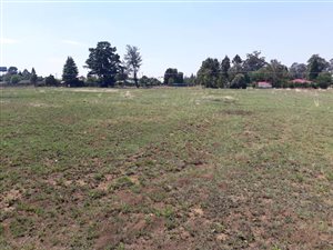 5949 m² Land available in Dullstroom
