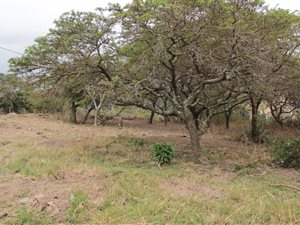 697 m² Land available in Morgans Bay