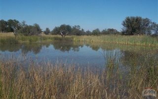 677 ha Farm in Vaalwater