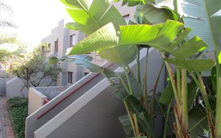 2 Bedroom Townhouse in Marais Steyn Park