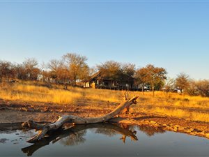 Game Farm in Grietjie